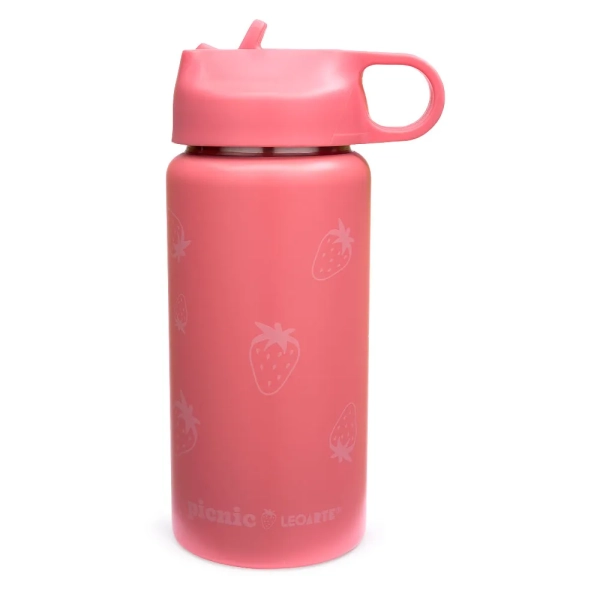 GARRAFA INOX PICNIC 500ML